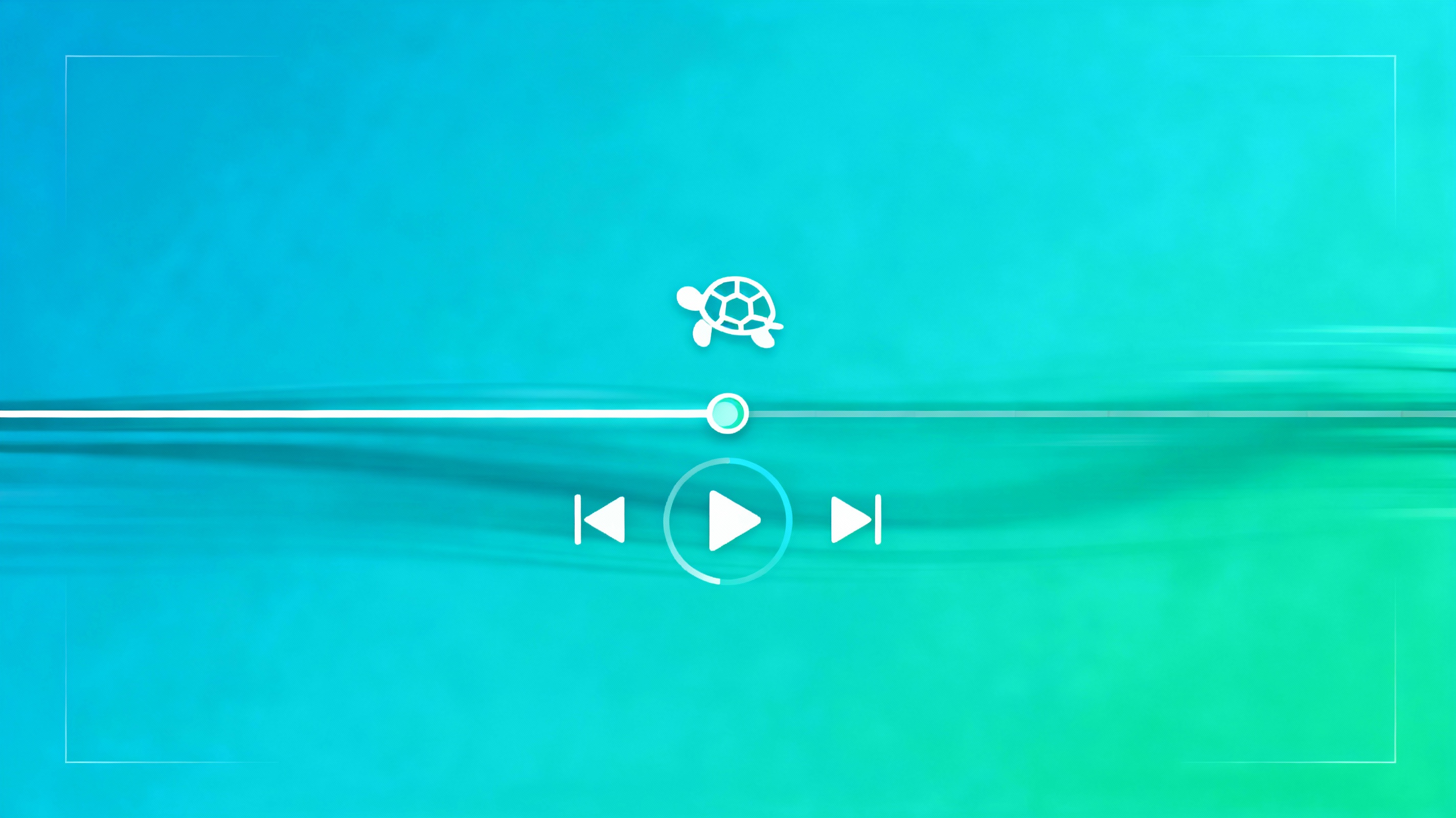 Slow Motion Playback for Detailed Learning